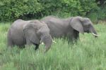 safrica_dec_13_image5.jpg